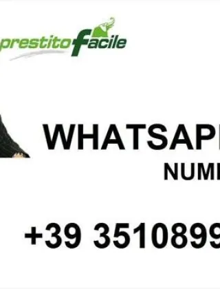 3510899056 - Offerta Facile E Veloce Per Le Persone Che Hanno