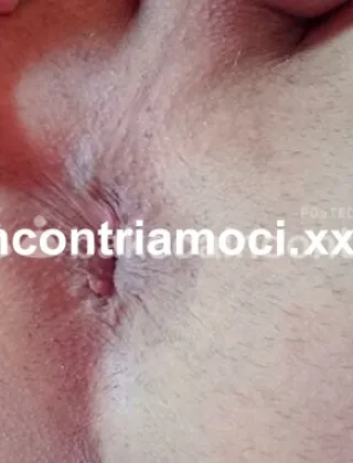 3755793257 - Trav Porcella Ospito Stasera Giovani Dotati Per