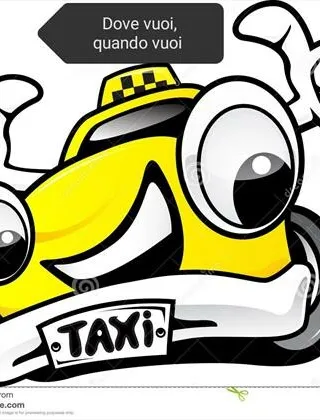 3291245387 - Autista Privato 3291245387