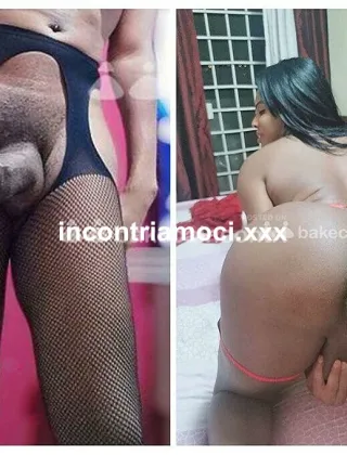 3510922607 - Trans Mistress Macerata