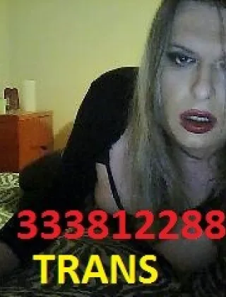 3338122886 - Trans Padova (Ououo) 3338122886
