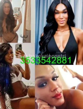 3533542881 - Cuneo Centro Transex Nikita Superdotatissima