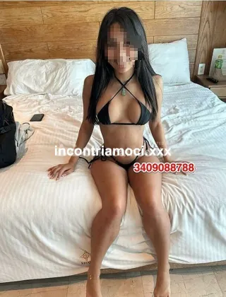 3409088788 - Novita ????A Savona