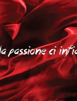 3780815054 - Massaggi 3780815054