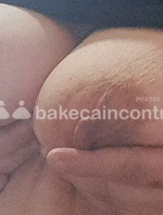 3791464203 - Calda Porca Focosa