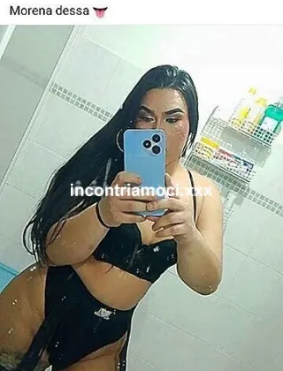 3509716397 - Bella Trans Brasiliana