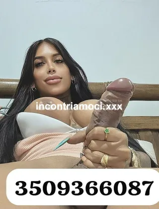 3509366087 - A Napoli Un Verca Porca Seza Tabu Porca Porca?