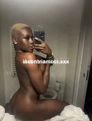 3519905819 - The Panther