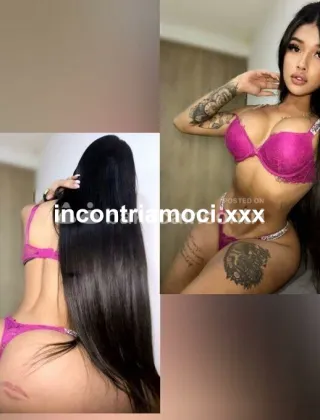 3314058302 - Appena Arrivata, Yamile Trans Dotatissima 20Cm,