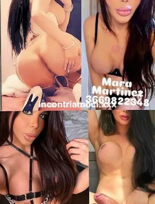 3669822348 - ?Mara Trans Insaziabile Cavalla In Calore Sempre