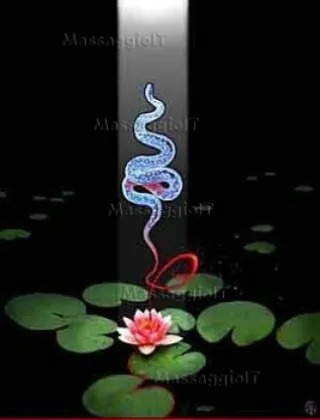 3511875435 - Massaggiatrice Tantra 3511875435