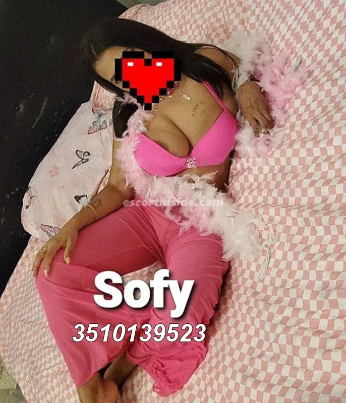 Sofy
