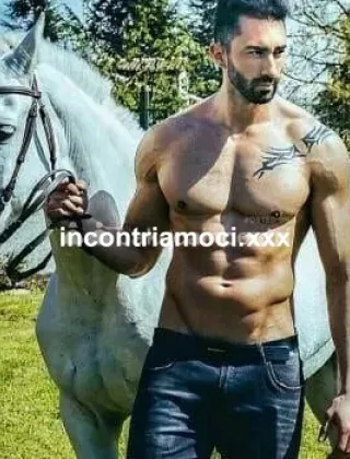 3925815783 - Arthur Sex