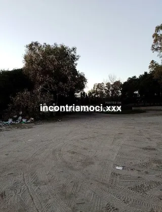 3490876789 - Coppie E Singole Da Guardare E Leccare Ci Siete?