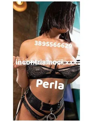 3895566629 - Appena Arrivata 24Su24 * Bellissima Porcellina