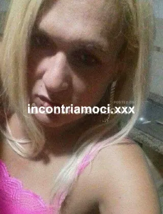 3512836367 - Transexx