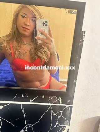 3274532909 - Mycaella