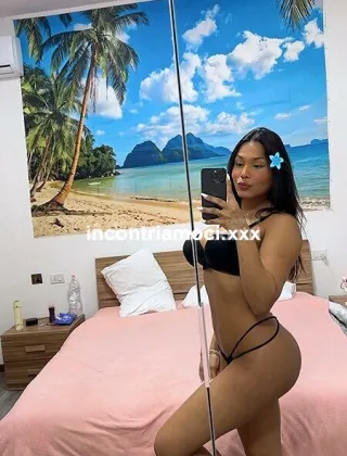 3508494536 - ? Trans Brasiliana ????