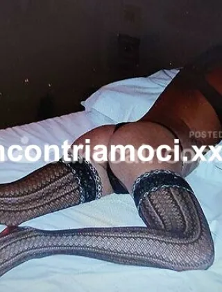 3207629107 - Monella Italiana Per Interrogazione Speciale