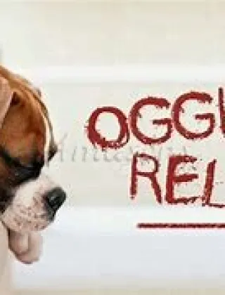 3510657526 - Relax A Soli 40 Euro 3510657526