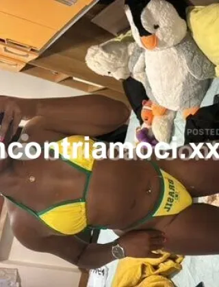 3206007454 - Trans Xxl Lary Trans C 25 Trans 🇧🇷 Brasiliana Arezzo