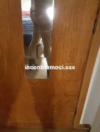 3393796646 - Trans Mistress Roma