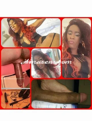3511463288 - Trans Mistress Torino