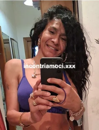3311317384 - Kelly Trans Xxl?????????????????