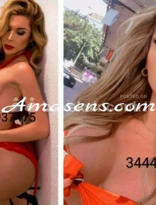 3444937475 - Canela ... Completissima En Tutto ?Regina Del