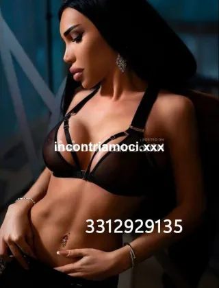 3312929135 - Sammy 22 Trans Milano