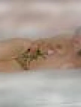 3204862760 - Veronica Newnewnew Bomba Sexy Da Impazzire