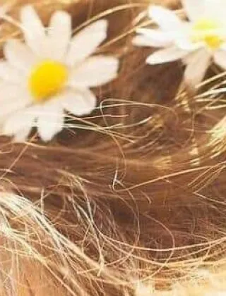 3793316960 - Massaggi Completi E Particolari 3793316960