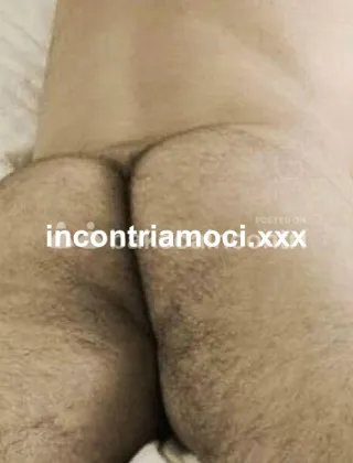 3500213179 - ? Cerco Toro Realmente Dotato X Il Mio Culetto