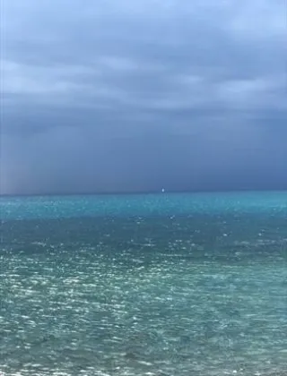 3338613865 - Massaggiatore 3338613865