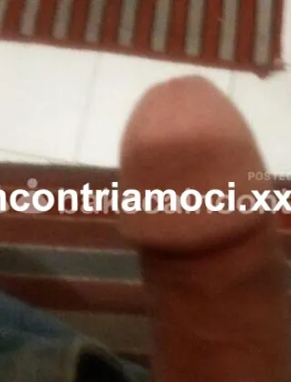 3497956854 - Due Amici Bull Attivi