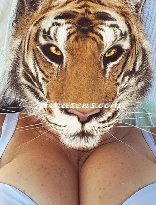 3334391569 - Bella E Brava Ragazza Cerca Uomo