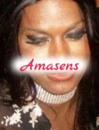 3806382661 - Gata Nera