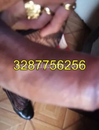3287756256 - Regina 30 Trans Lucca