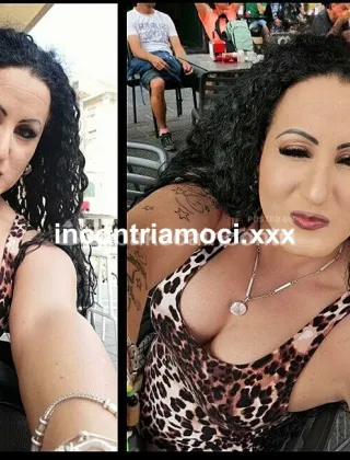 3461324229 - Cubanissima Trans