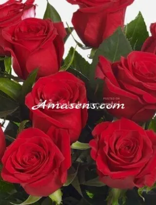 3791156875 - Dolcissima Italiana