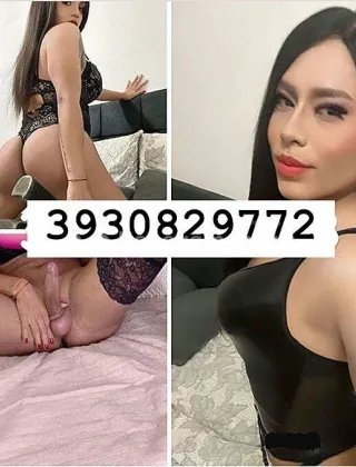 3930829772 - 🔥 Bruna Top Trans Giovanissima Att E Pas Piu Bella