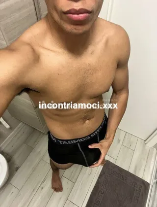 3428072090 - Toro Nero