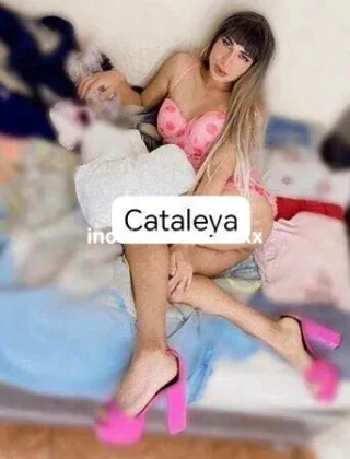3508603371 - Brescia Due??? ? ?Cataleya ? ?Trans Bellissima
