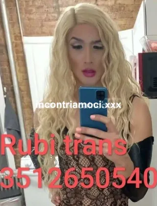 3512650540 - (A San Vincenzo Li) Trans Cavallona Rubi Muscolosa