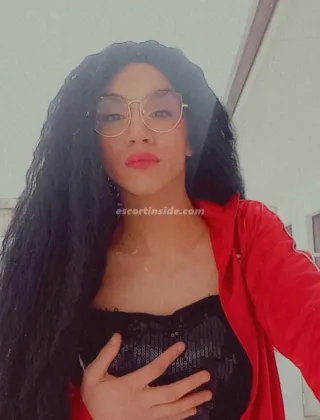 3500667385 - Lavinia 20 Trans Milano