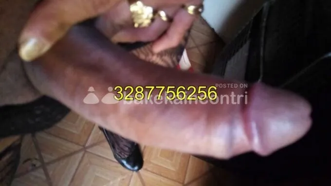 Regina Trans Brasiliana