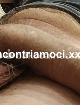 3883005644 - Cerco Trans Passiva