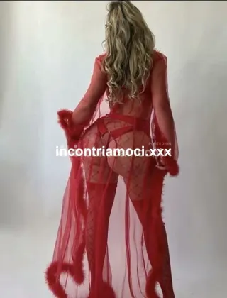 3282242265 - Zorra