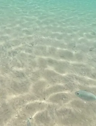 3881558103 - Donna, Vuoi Farti Una Vacanza All'isola D'elba