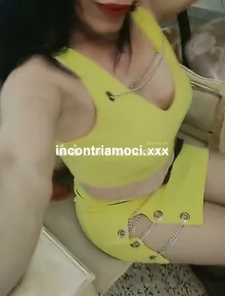 3532096683 - Mery Trans Italiana Attiva E Passiva Molto